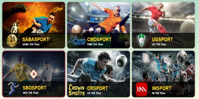 Giao diện trang web Crown Sports với màu sắc chủ đạo là màu xanh