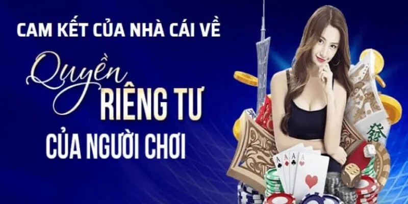 Cam kết của nhà cái i9bet trong việc tuân thủ điều khoản