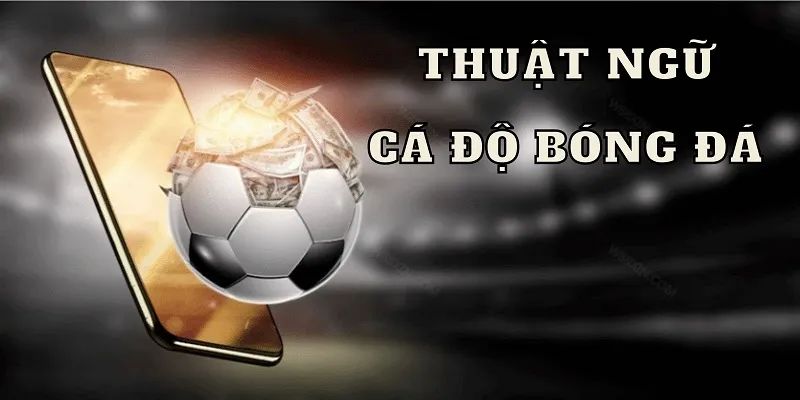 Phân loại thuật ngữ cá cược bóng đá theo nhóm
